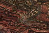 Polished Tiger Iron Stromatolite Slab - Billion Years #261996-1